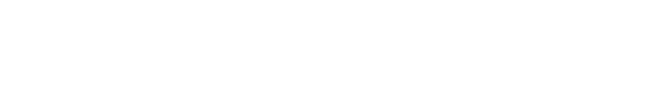 Das Logo des Madness Dresden